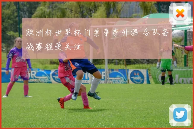 欧洲杯世界杯门票争夺升温 各队备战赛程受关注