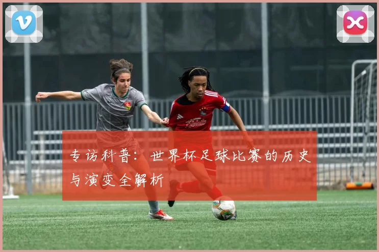 专访科普:世界杯足球比赛的历史与演变全解析