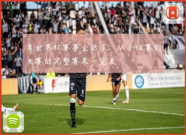 年世界杯赛事全记录:从小组赛到决赛的完整赛果一览表