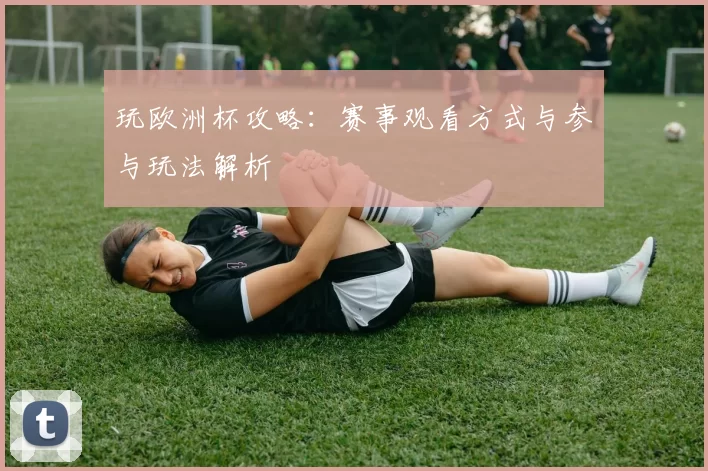 玩欧洲杯攻略:赛事观看方式与参与玩法解析