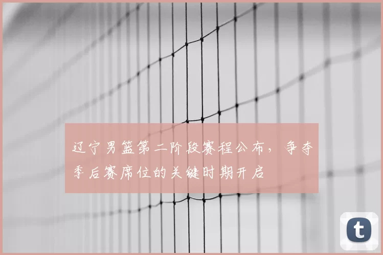 辽宁男篮第二阶段赛程公布,争夺季后赛席位的关键时期开启