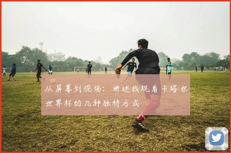从屏幕到现场:讲述我观看卡塔尔世界杯的几种独特方式