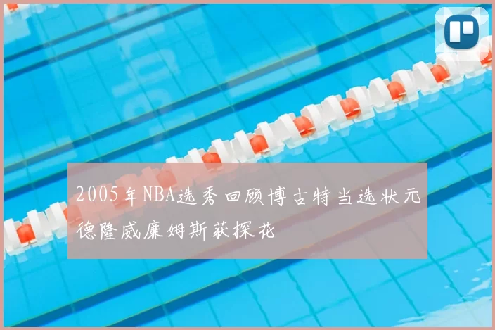 2005年NBA选秀回顾博古特当选状元德隆威廉姆斯获探花
