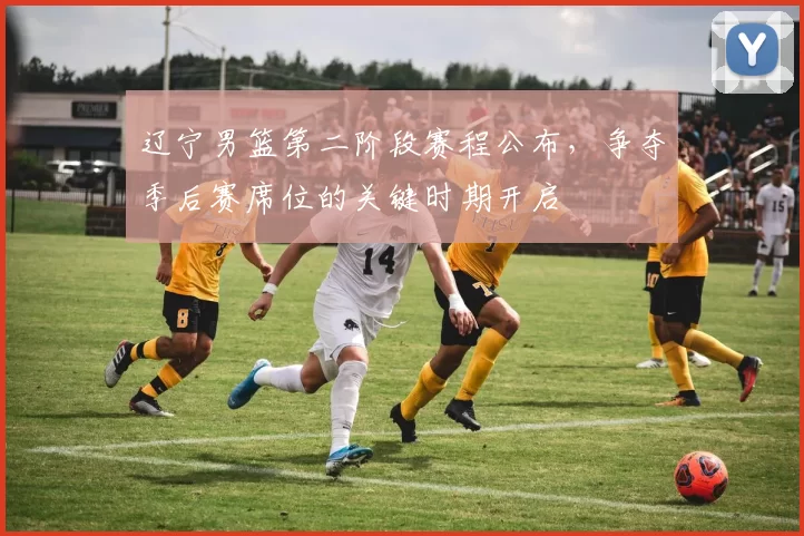 辽宁男篮第二阶段赛程公布,争夺季后赛席位的关键时期开启