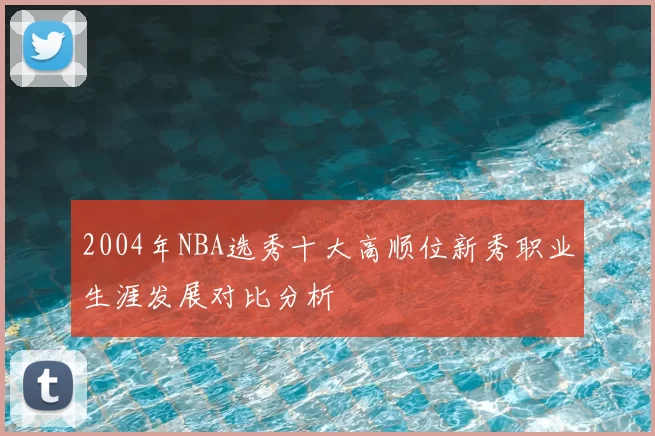 2004年NBA选秀十大高顺位新秀职业生涯发展对比分析