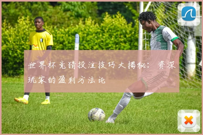 世界杯竞猜投注技巧大揭秘:资深玩家的盈利方法论