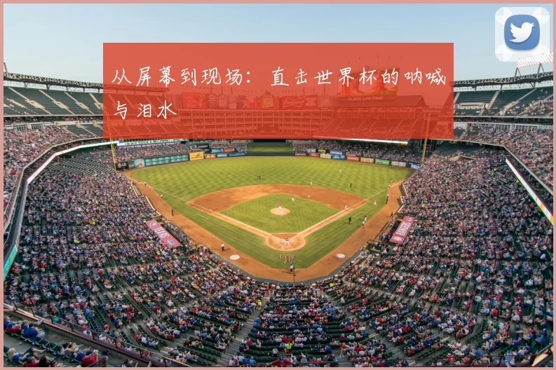 从屏幕到现场:直击世界杯的呐喊与泪水