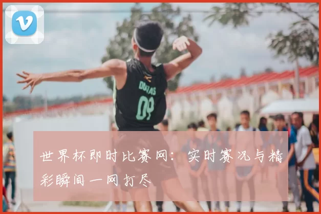 世界杯即时比赛网:实时赛况与精彩瞬间一网打尽
